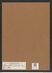 Odontella ? decorata (Grev.) (de-Toni-Nr.: Genus 122, Species 3451) Zeichnungen Sammlung Grunow Mappe 03645 (Herbarium_W_Grunow_drawings_Folder_03645)